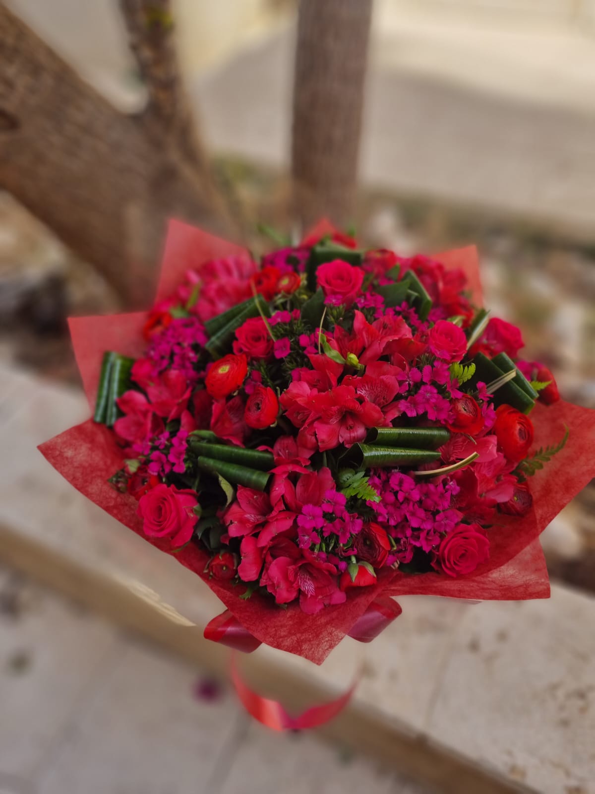 אדום עולה ללב