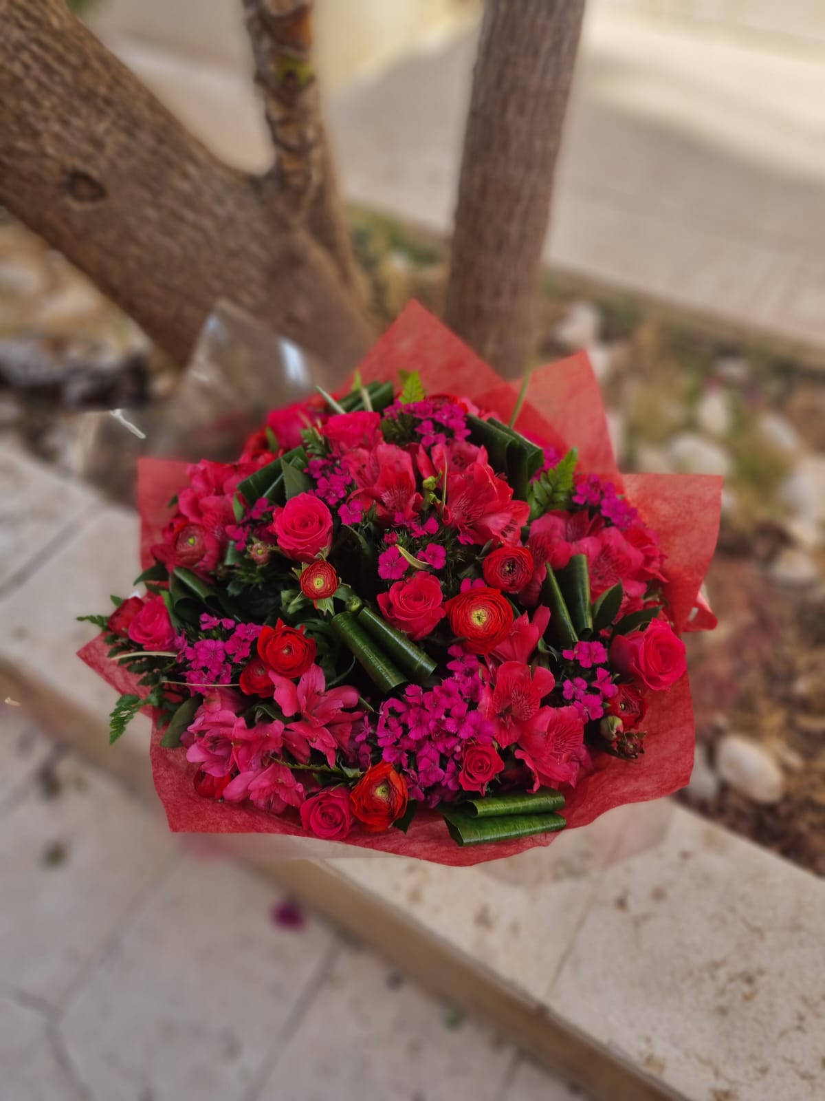 אדום עולה ללב