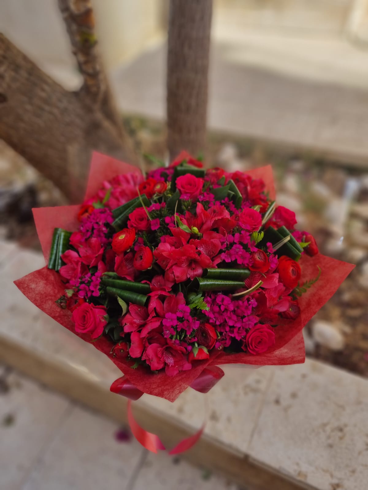 אדום עולה ללב